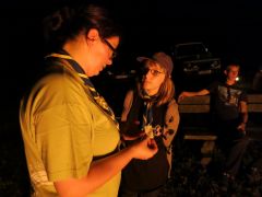 423   WiW   SOLA2015