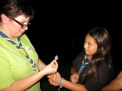 431   WiW   SOLA2015