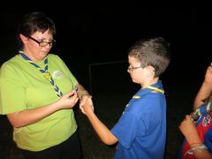 441   WiW   SOLA2015