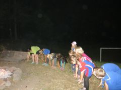 446   WiW   SOLA2015