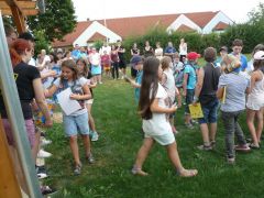 473   WiW   SOLA2015