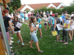 474   WiW   SOLA2015