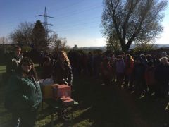 received 10210228240895410