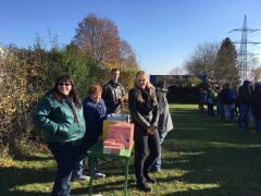 received 10210228241095415