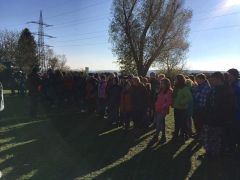 received 10210228241455424