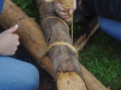 UNADJUSTEDNONRAW thumb 114e