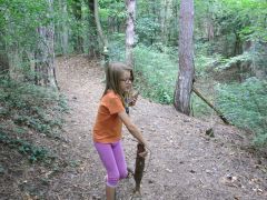 IMG 4854