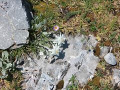 120  SOLA 2014 Gloggnitz