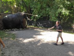 IMG 20230718 105431 1