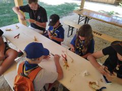 IMG 20230718 133802 1