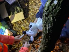 WhatsApp Bild 2025 11 08 um 23.59.21 4988ea06