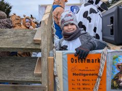 PXL 20260215 101218952.MP