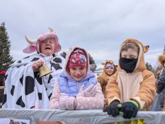 PXL 20260215 101408146