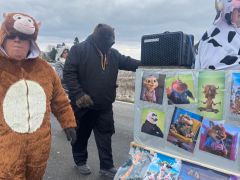 WhatsApp Image 2026 02 15 at 18.32.20  16 