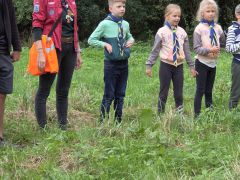 IMG 20260919 WA0071